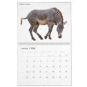 Verschiedene Tiere abgeschieden 2023 Kalender (Jan 2026)