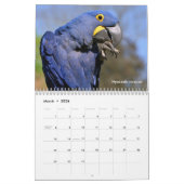 Verschiedene Tiere des südamerikanischen Kalenders Kalender (Mär 2026)