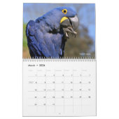 Verschiedene Tiere Südamerikas 12 Monate Kalender (Mär 2026)