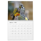 Verschiedene Vögel 12 Monate Kalender (Feb 2026)