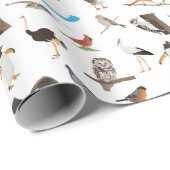 Verschiedene Vögel Geschenkpapier (Rolleneckpunkt)
