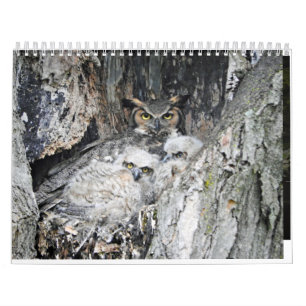 Verschiedene Vögel und Enten Kalender