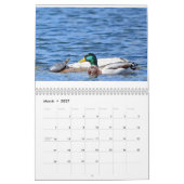 Verschiedene Vögel und Enten Kalender (Mär 2027)