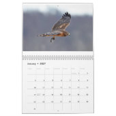Verschiedene Vögel und Enten Kalender (Jan 2027)