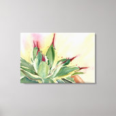 Verschiedene Zwerge agave Leinwanddruck (Vorderseite)