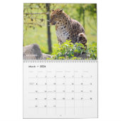 Verschiedener großer katzenähnlicher Kalender (Mär 2026)