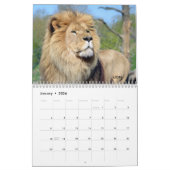 Verschiedener großer katzenähnlicher Kalender (Jan 2026)