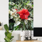 Verschiedener Hibiskus Poster (Heimbüro)