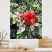Verschiedener Hibiskus Poster (Küche)