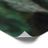 Verschiedener Hibiskus Poster (Ecke)