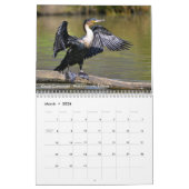 Verschiedener Wasservogelkalender Kalender (Mär 2026)