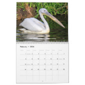 Verschiedener Wasservogelkalender Kalender (Feb 2026)