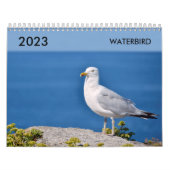 Verschiedener Wasservogelkalender Kalender (Titelbild)