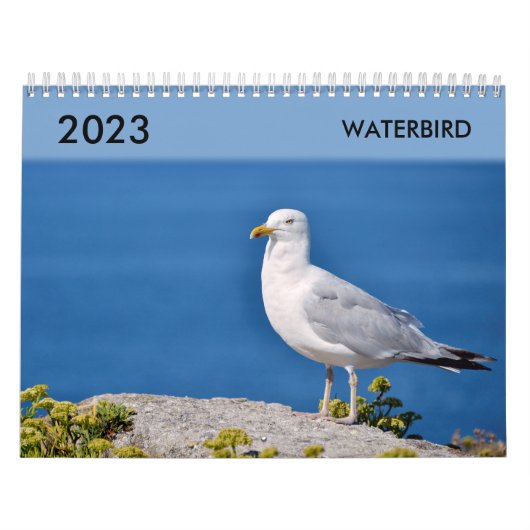 Verschiedener Wasservogelkalender Kalender (Titelbild)