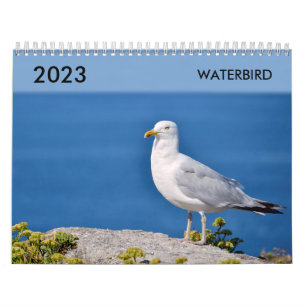 Verschiedener Wasservogelkalender Kalender