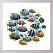 Verschiedenes Design der Fischschule Poster (Vorne)