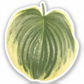 Verschiedenes Hosta Leaf Aufkleber (Vorderseite)