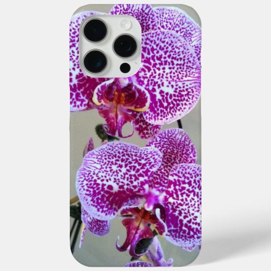 Verschiedenes Lila Orchid-Nah-Up-Foto Case-Mate iPhone Hülle (Rückseite)