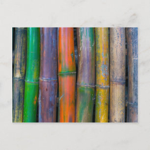 Verschiedenes - Muster für Chromatisches Bambus Postkarte