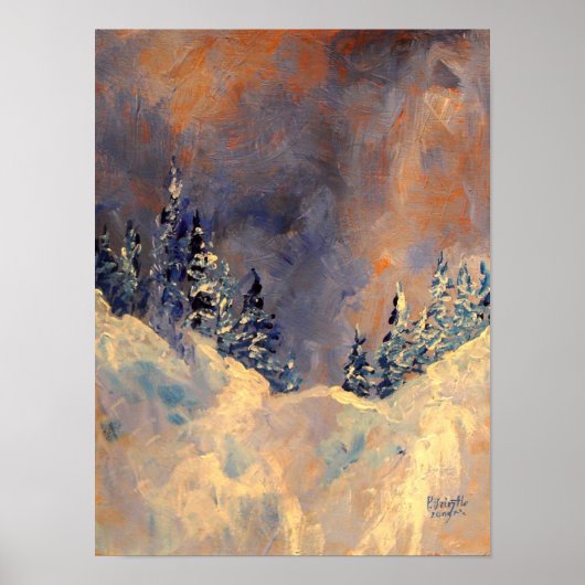 Verschmutzte Schneedecke 2009 Poster (Vorne)