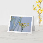 Verschmutzte Wildfennel Karte (Gelbe Blume)