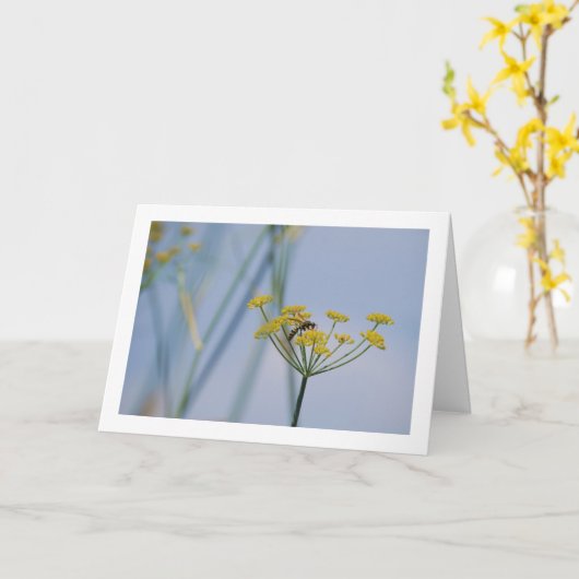 Verschmutzte Wildfennel Karte (Gelbe Blume)