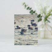 Verschmutzung Postkarte (Stehend Vorderseite)