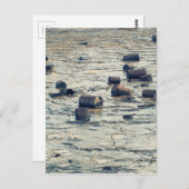 Verschmutzung Postkarte (Vorne/Hinten)