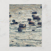 Verschmutzung Postkarte (Vorderseite)