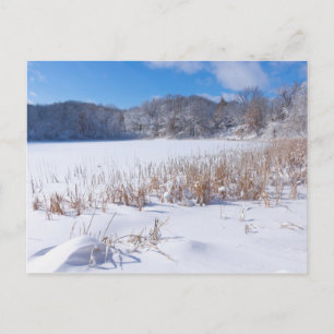 Verschneiter Marthaler-Teich Winterlandschaft Postkarte