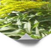 Verschütten Sie den Stab verderben den Schmetterli Poster (Ecke)