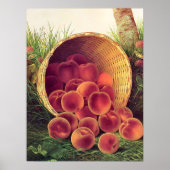 Verschüttete Pfirsiche Poster (Vorne)