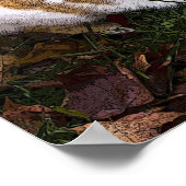 "Verschwinde aus meinem Gesicht" humorvolles Hund- Poster (Ecke)