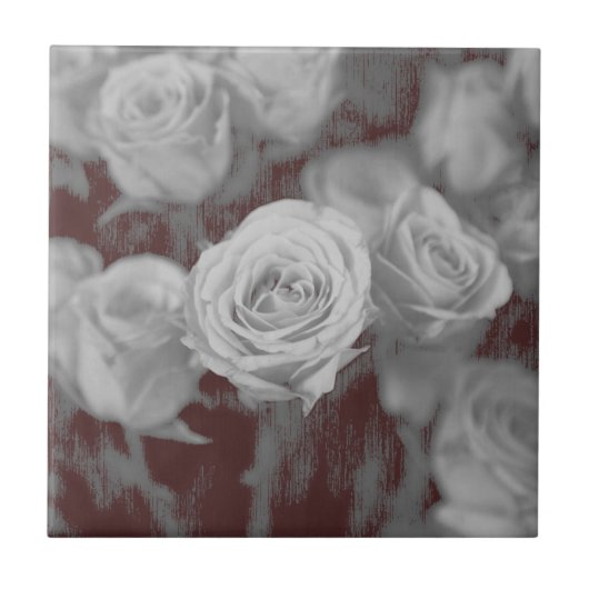 Verschwinden von Rose Fliese (Vorderseite)