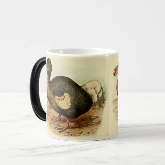 Verschwindene Dodo-Tasse Verwandlungstasse (Vorderseite Links)