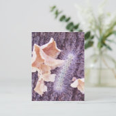 verschwommene Raupe und Pilze Postkarte (Stehend Vorderseite)
