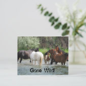 verschwundene Postkarte (Stehend Vorderseite)