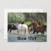 verschwundene Postkarte (Vorne/Hinten)