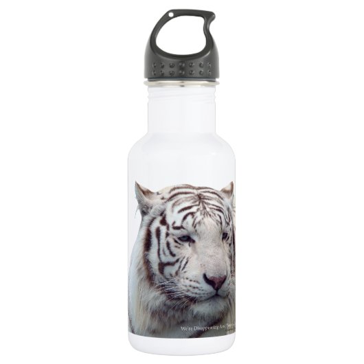 Verschwundene Tiger Trinkflasche (Vorderseite)
