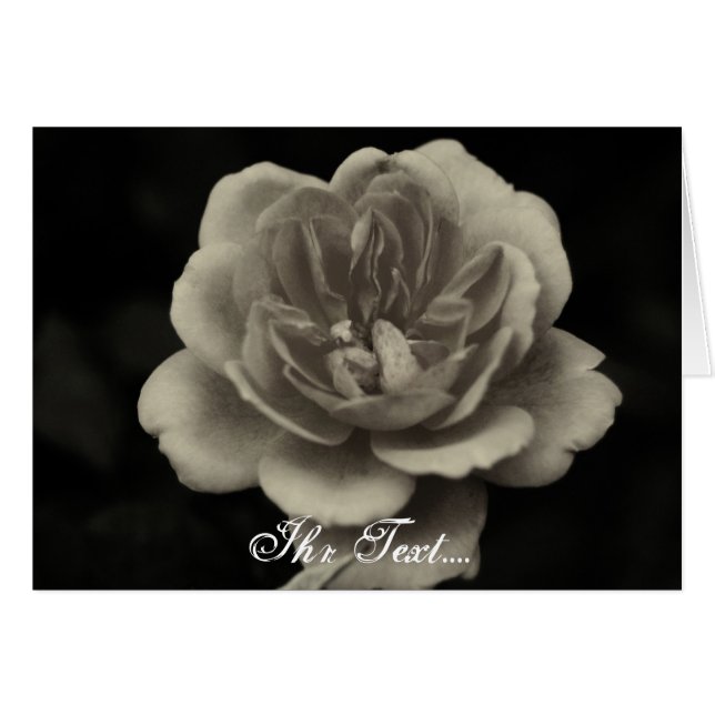 Versehe Dein Grußkarte einem (Vorderseite (Horizontal))