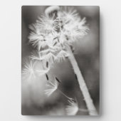 Versenden von Wünschen Fotoplatte (Vorderseite)