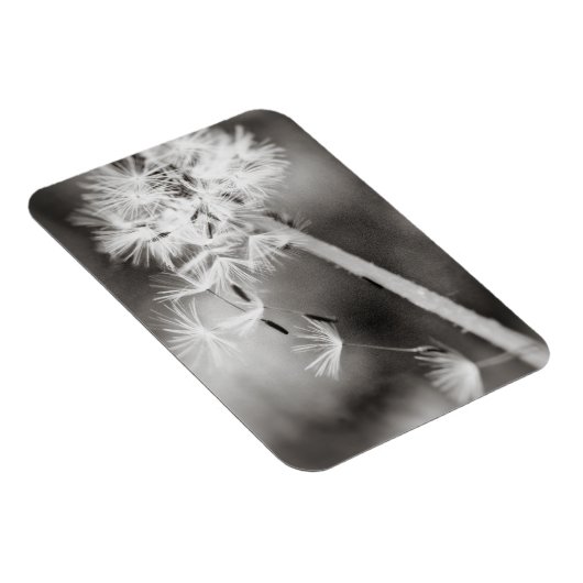 Versenden von Wünschen Magnet (Rechte Seite)