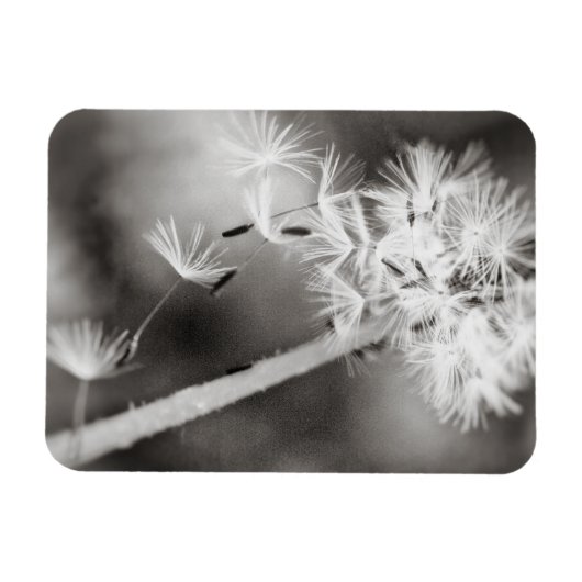 Versenden von Wünschen Magnet (Horizontal)