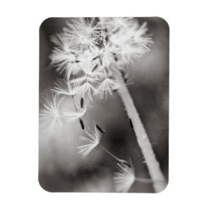 Versenden von Wünschen Magnet