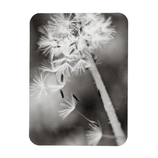 Versenden von Wünschen Magnet (Vertikal)