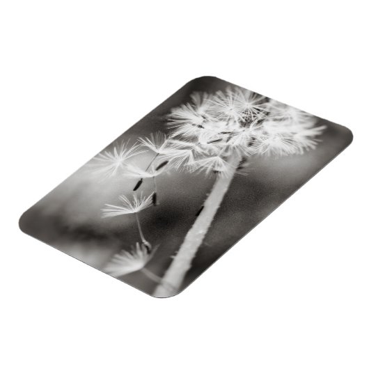 Versenden von Wünschen Magnet (Linke Seite)