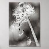 Versenden von Wünschen Poster (Vorne)