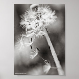 Versenden von Wünschen Poster