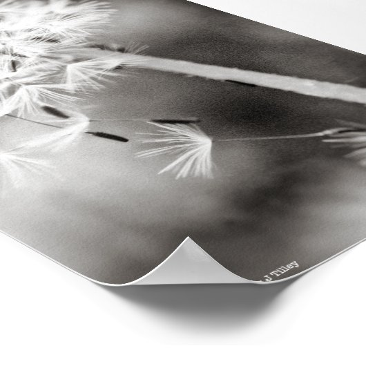 Versenden von Wünschen Poster (Ecke)