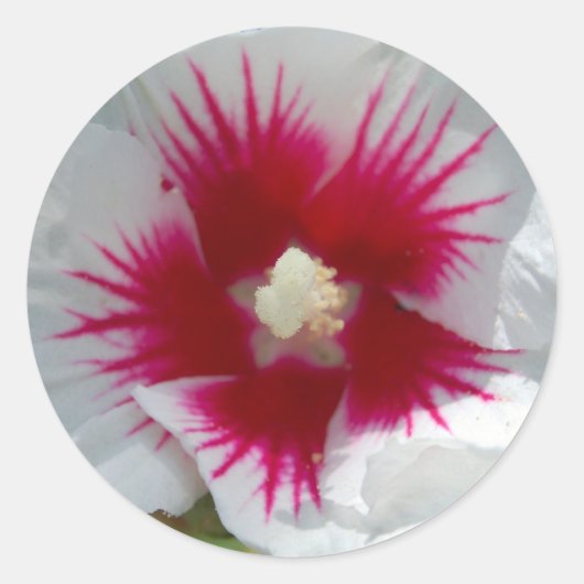 Versiegelt mit einer STERNEXPLOSION KISS! Aufklebe Runder Aufkleber (Vorderseite)